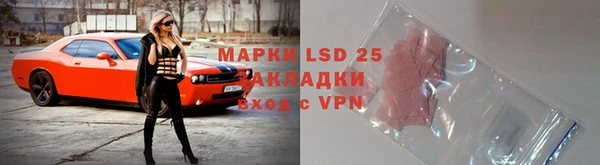apvp Алзамай