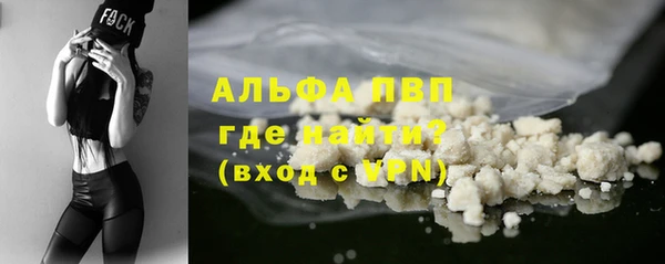 apvp Алзамай