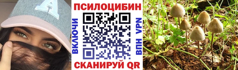 Галлюциногенные грибы GOLDEN TEACHER Кудрово