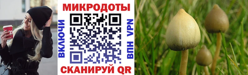 Псилоцибиновые грибы прущие грибы  наркотики  Кудрово 