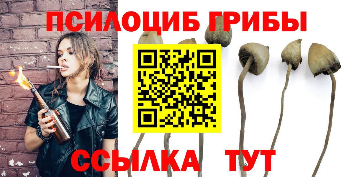 Кудрово  Псилоцибиновые грибы GOLDEN TEACHER  Вход с VPN 